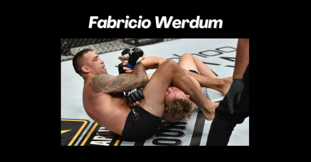 Fabricio Werdum has defeated some of the best fighters in the world with his superior grappling skills.