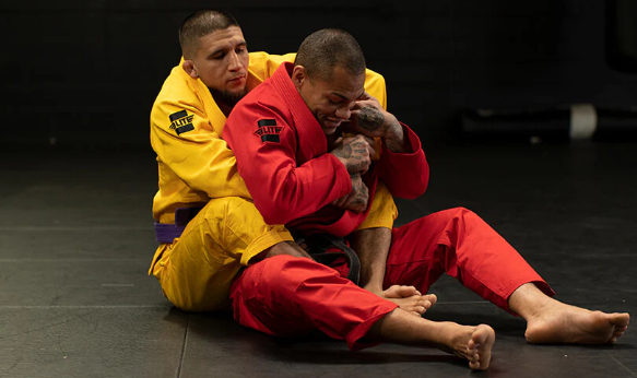 Back control is a checkmate position in Jiu Jitsu, often leading to submissions like the rear-naked choke.